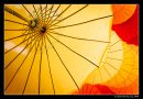 Backlit Umbrellas