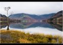 In Front Of The Mirrored Lake