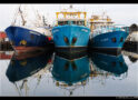 Reflections At Fremantle Fishing Boat Harbour